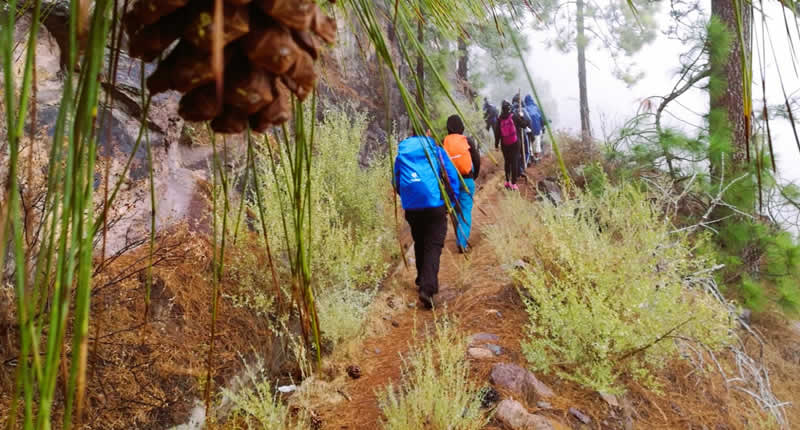 Trekkingroute zum Gipfel