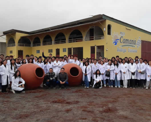 Bodega Camaná: tradición pisquera, vendimia y degustaciones en el valle verde de Camaná