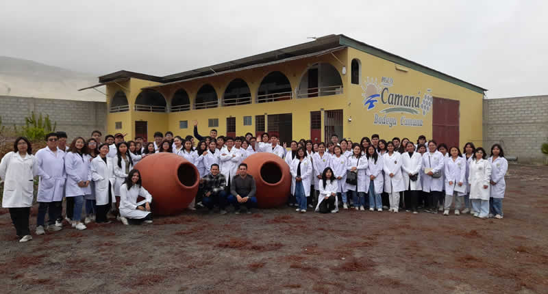 Bodega Camaná: tradición pisquera, vendimia y degustaciones en el valle verde de Camaná