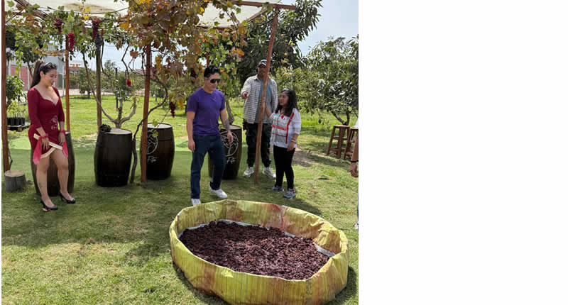 De la uva a la botella