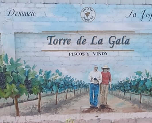 Bodega Torre de la Gala: vino de desierto, oficio pisquero e inclusión en el campo Bodega Torre de la Gala: vino de desierto, oficio pisquero e inclusión en el campo