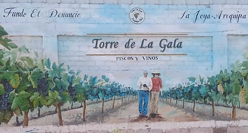 Bodega Torre de la Gala (La Joya, Arequipa): Wüstenwein, Pisco-Handwerk & Inklusion im Feld