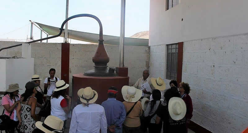 Terroir: Pampas de La Joya