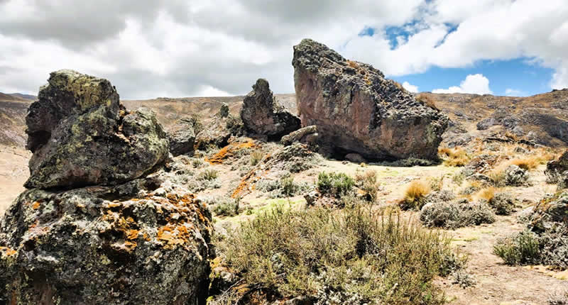 Steinwald bei Runasayacc