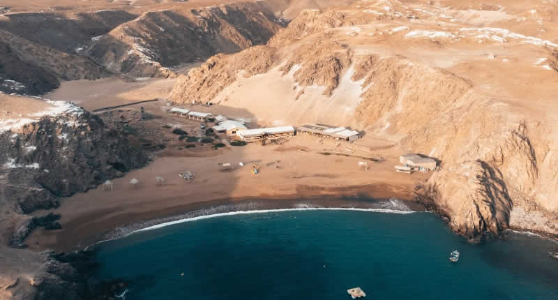 Naturaleza y fauna: el pulso del Pacífico