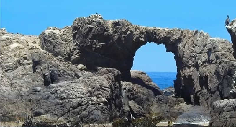 Mariscos y economía costera