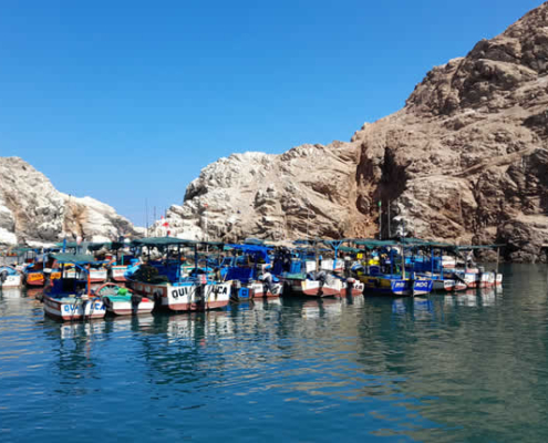 Bucht von Quilca: Historischer Hafen und Naturparadies an der Pazifikküste von Arequipa Bucht von Quilca: Historischer Hafen und Naturparadies an der Pazifikküste von Arequipa
