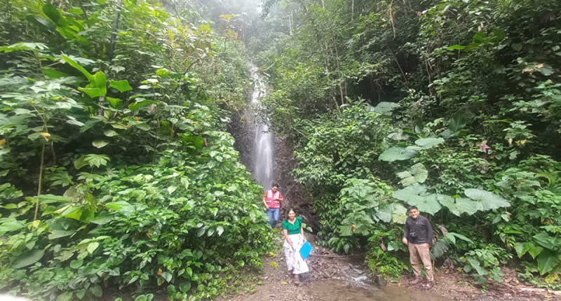 Catarata Virgen Ccasa, dichte, feuchte Waldzone,