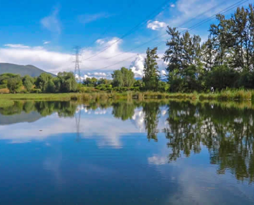 Feuchtgebiet de Huaper – grünes Rückzugsgebiet in Azángaro, Luricocha Feuchtgebiet de Huaper – grünes Rückzugsgebiet in Azángaro, Luricocha