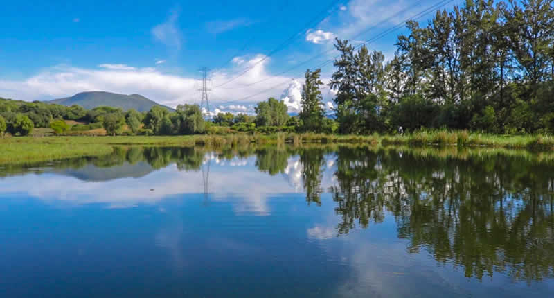 Feuchtgebiet de Huaper – grünes Rückzugsgebiet in Azángaro, Luricocha
