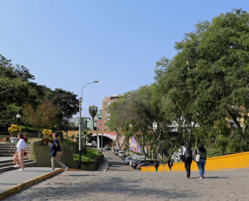 La Bajada de los Baños & Mirador – grüner Küstenabstieg und Aussichtspunkt in Barranco La Bajada de los Baños & Mirador – grüner Küstenabstieg und Aussichtspunkt in Barranco