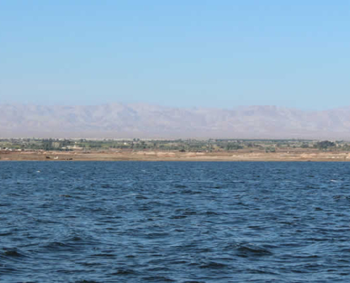 Laguna y salinera de San Camilo: colores surrealistas, oficio salinero y paraíso de aves en La Joya Laguna y salinera de San Camilo: colores surrealistas, oficio salinero y paraíso de aves en La Joya
