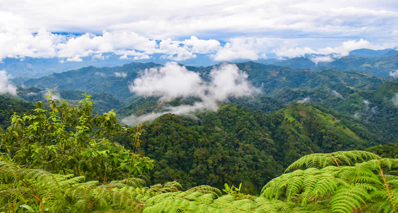 Mirador Junín Libertad – Panoramaaussicht über die Selva del VRAEM