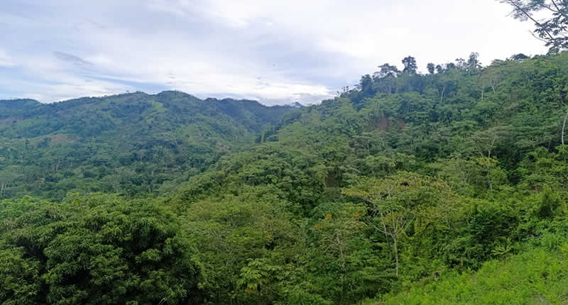 Mirador de Llochegua