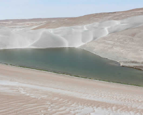 Oasis de La Joya: laguna cristalina en el mar de dunas de Arequipa Oasis de La Joya: laguna cristalina en el mar de dunas de Arequipa