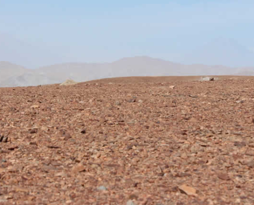 Pampas de La Joya: dunas de Atacama, paisajes marcianos y aventura al oeste de Arequipa Pampas de La Joya: dunas de Atacama, paisajes marcianos y aventura al oeste de Arequipa