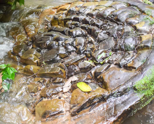 Piedras de Negrohuaycco de Los Ángeles – mystische Felsen, Inschriften & Wasserfälle im VRAEM Piedras de Negrohuaycco de Los Ángeles – mystische Felsen, Inschriften & Wasserfälle im VRAEM