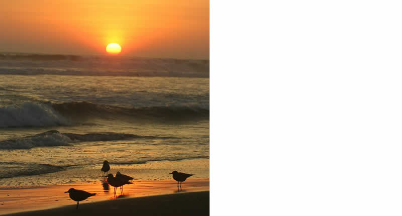 Klima & beste Reisezeit