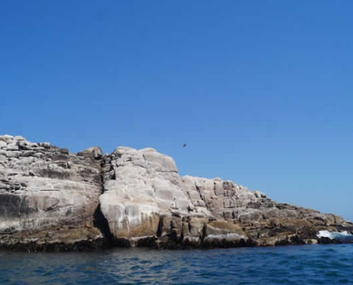 Punta Hornillos: Wildes Naturparadies bei Quilca Punta Hornillos: Wildes Naturparadies bei Quilca