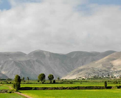Valle del Río Camaná: Fruchtbarkeit zwischen Wüste, Fluss und Pazifik Valle del Río Camaná: Fruchtbarkeit zwischen Wüste, Fluss und Pazifik