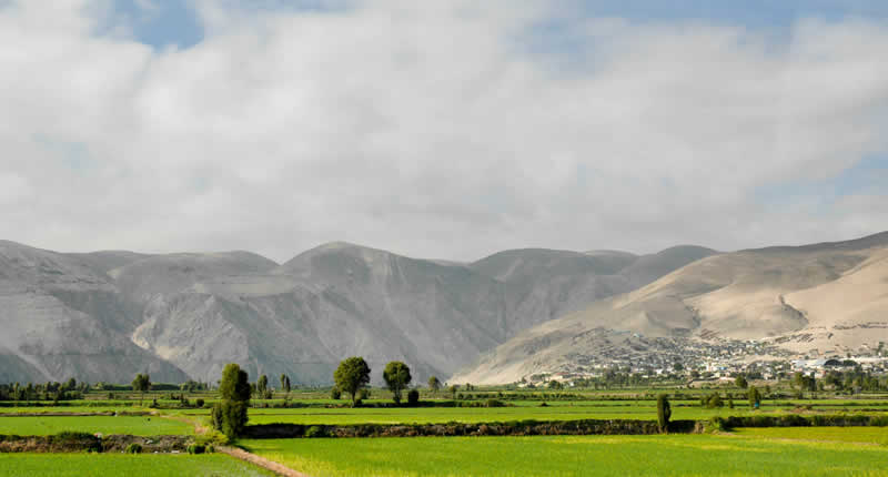 Valle del Río Camaná: Fruchtbarkeit zwischen Wüste, Fluss und Pazifik