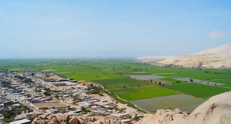 Ein grüner Keil in der Küstenwüste