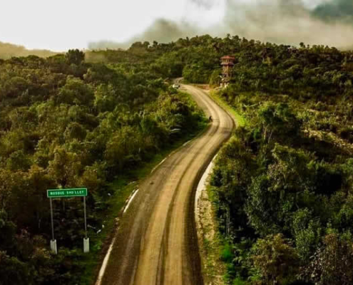 Área de Conservación Ambiental Bosque de Sho’llet – Bosque nuboso entre Oxapampa y Villa Rica Área de Conservación Ambiental Bosque de Sho’llet – Bosque nuboso entre Oxapampa y Villa Rica
