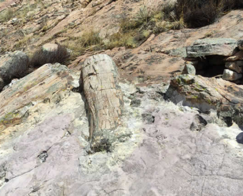 Bosque Petrificado de Kakenkorani – Versteinerter Wald über Azángaro Bosque Petrificado de Kakenkorani – Versteinerter Wald über Azángaro