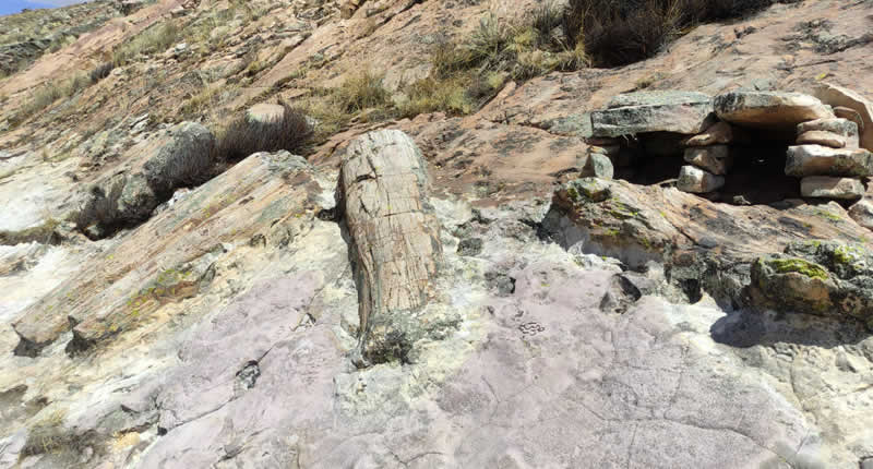 Bosque Petrificado de Kakenkorani – Versteinerter Wald über Azángaro