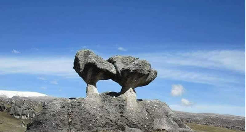 Steinwald von Jaylluwa in der Cordillera de Carabaya