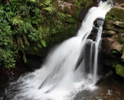 Cascada El León – la cascada del león de Villa Rica