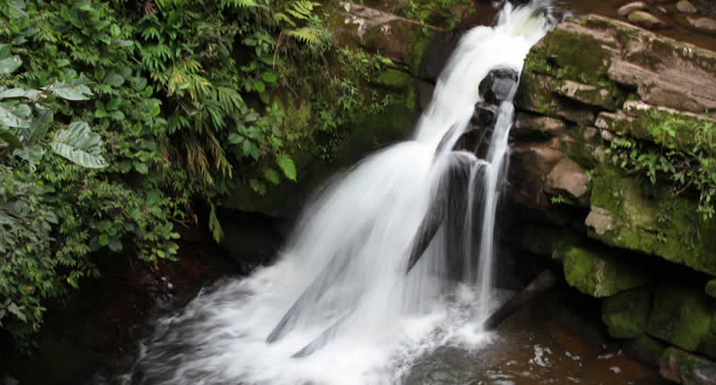 Cascada El León – la cascada del león de Villa Rica