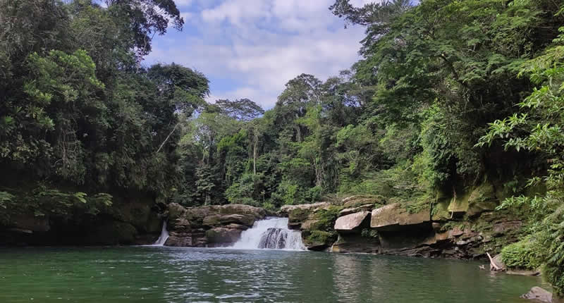 Poza natural en la selva baja de Palcazú