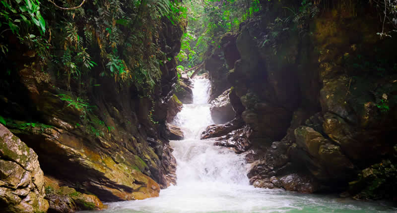 Cascada de Quebrada Honda – Catarata selvática junto a la Interoceánica Sur