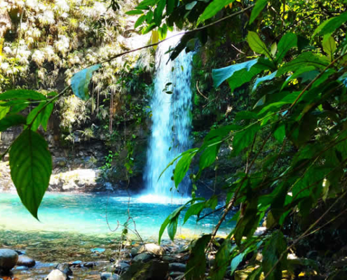 Catarata Alccochaka – Piscina natural esmeralda en la selva de San Gabán Catarata Alccochaka – Piscina natural esmeralda en la selva de San Gabán