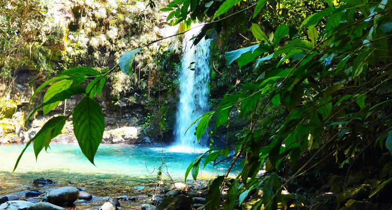 Catarata Alccochaka – Piscina natural esmeralda en la selva de San Gabán