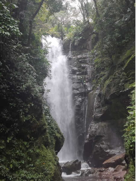 Catarata en medio del paisaje de Yunga de Oxapampa