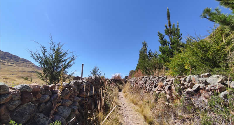 Formación pétrea de Qilca im Steinwald von Soratira bei San Antón