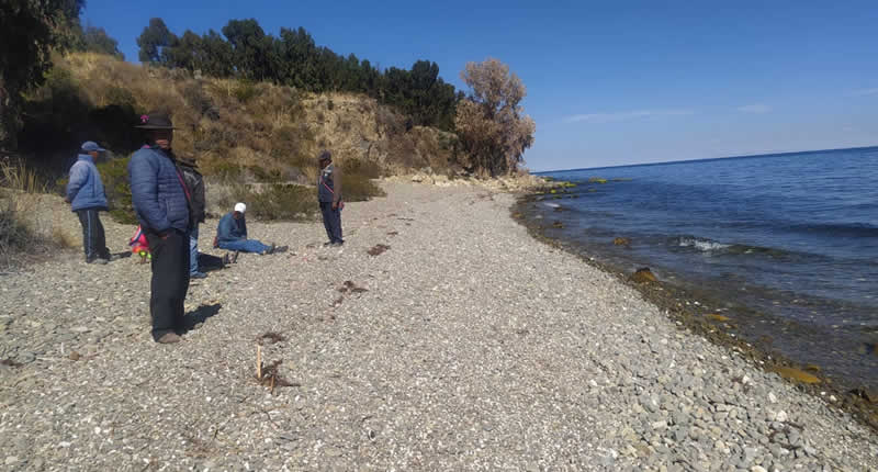 Isla Soto: Andines Inselheiligtum bei Conima im Titicacasee