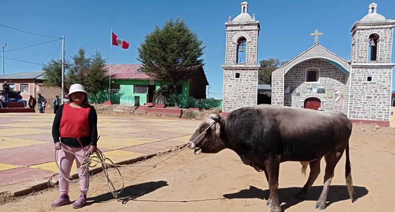 Islas Anapia und Yuspique: Gemeinschaftsinseln im Lago Wiñaymarca