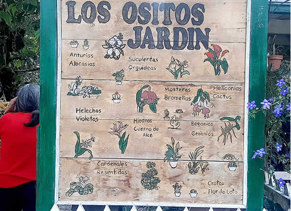 Jardín botánico en plena ciudad cafetalera de Villa Rica