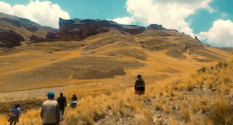 Landschaft mit Airampo Pflanzen