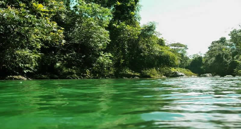 Laguna Consuelo im Regenwald von San Pedro de Putina Punco nahe dem Nationalpark Bahuaja Sonene