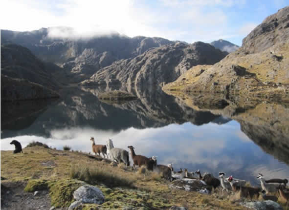 Andenlagune in der Region Suni