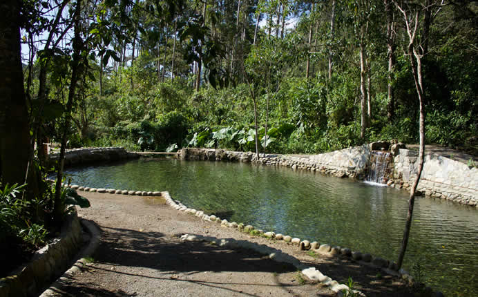 Manantial mítico en el paisaje de Yunga