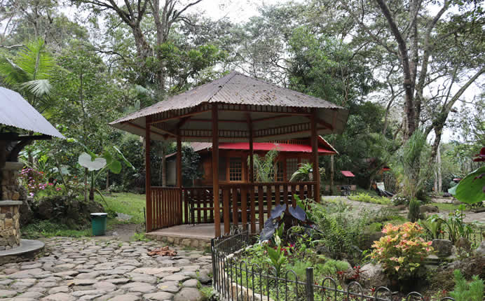 Actividades en el Manantial de la Virgen