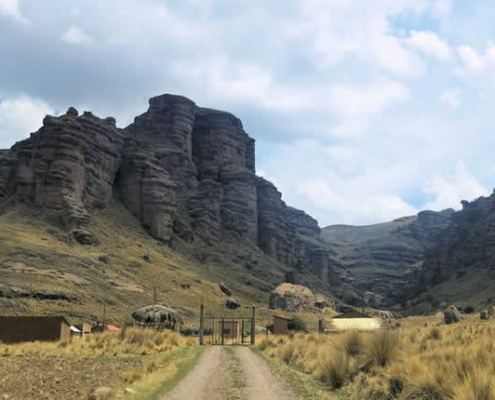 Paraíso Natural de Keñuacuyo – Cañón, Keñua-Wald und Andenkultur bei Ayaviri Paraíso Natural de Keñuacuyo – Cañón, Keñua-Wald und Andenkultur bei Ayaviri