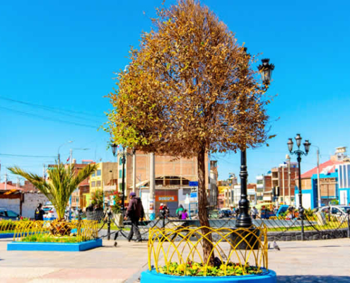 Parque de la Cultura in Puno – Wasser, Kunst und Andenkultur im Herzen der Stadt Parque de la Cultura in Puno – Wasser, Kunst und Andenkultur im Herzen der Stadt