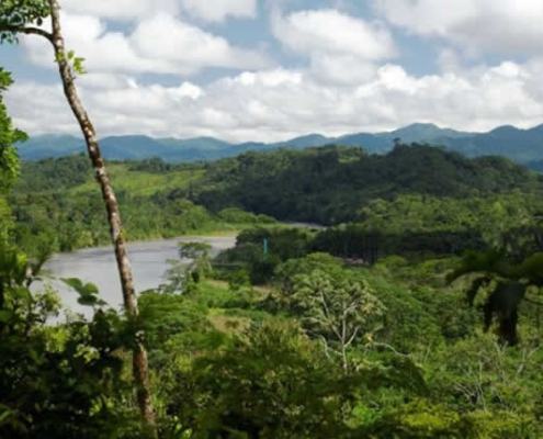 Parque Nacional Bahuaja Sonene – Maravilla amazónica entre Puno y Madre de Dios