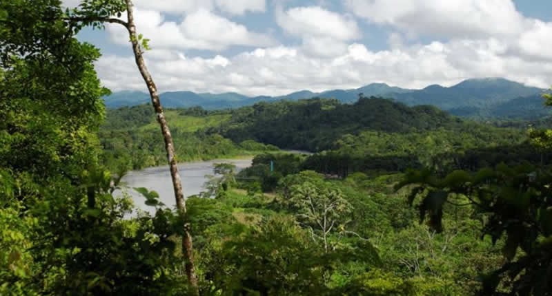 Nationalpark Bahuaja Sonene – Unberührter Regenwald zwischen Anden und Amazonas